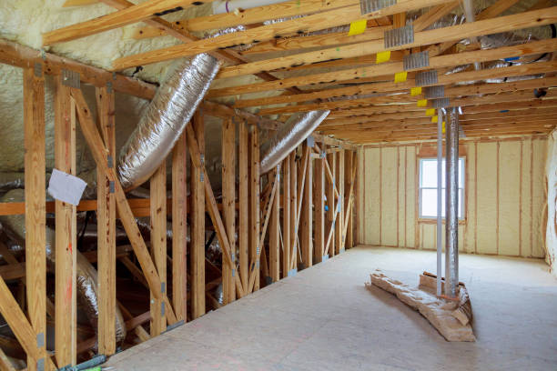 Best Wall Insulation Contractor  in Lake Elsinore, CA