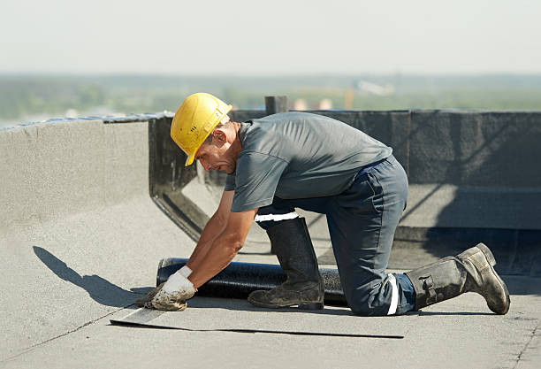 Best Local Insulation Services  in Lake Elsinore, CA