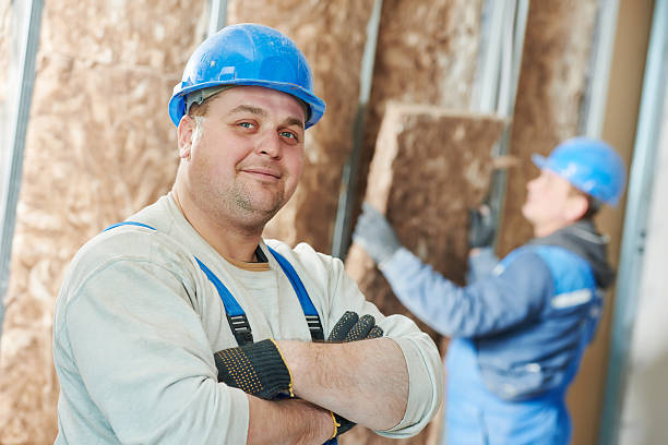 Best Professional Insulation Contractor  in Lake Elsinore, CA