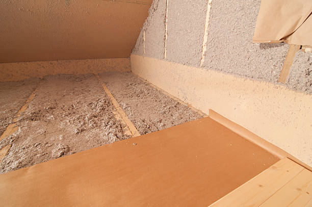 Best Home Insulation Services  in Lake Elsinore, CA